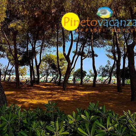 Myconos C2 - Pineto Vacanza Kültér fotó