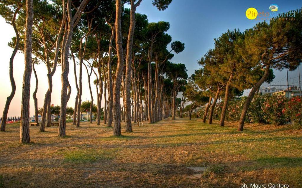 Myconos C2 - Pineto Vacanza Kültér fotó