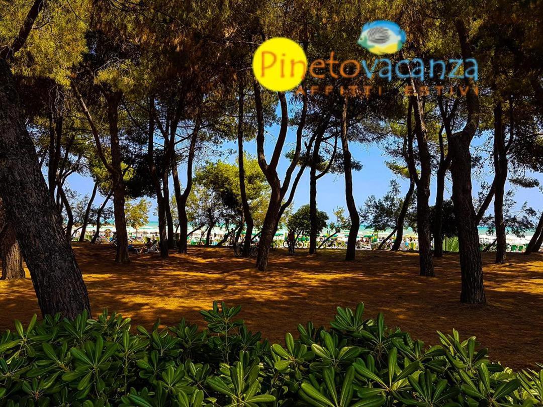 Myconos C2 - Pineto Vacanza Kültér fotó